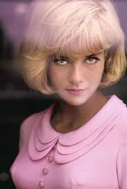 Sylvie in the early 1960's; beauty and talent was never more exquisitely combined...